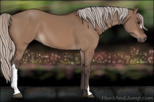 Horse Color:Silver Bay Dun