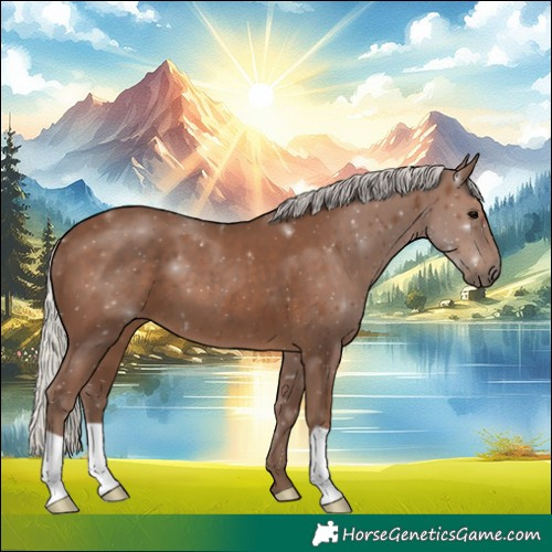 Horse Color:Silver Black 