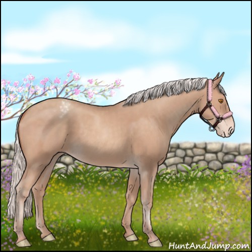 Horse Color:Silver Classic Champagne Varnish 