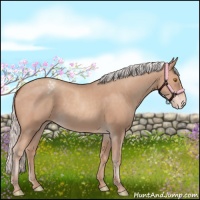 Horse Color:Silver Classic Champagne Varnish 