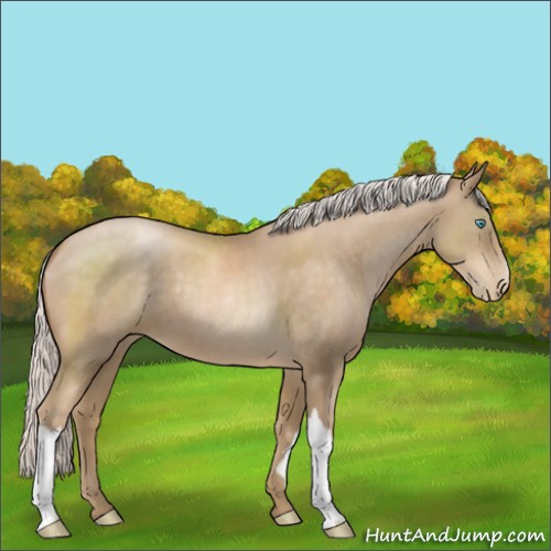 Horse Color:Silver Smoky Black Pearl