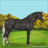 Horse Color:Liver Chestnut Mushroom Snowflake Varnish 