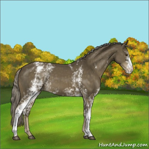 Horse Color:White Spotted Chocolate Palomino Mushroom Varnish