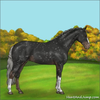 Horse Color:Liver Chestnut Mushroom Snowflake Varnish 