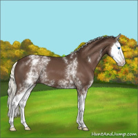Horse Color:White Spotted Liver Chestnut Mushroom Splash 