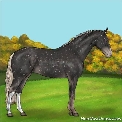 Horse Color:Liver Chestnut Mushroom Snowflake Varnish