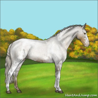Horse Color:White Spotted Chocolate Palomino Mushroom Varnish 