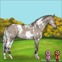 Horse Color:White Spotted Silver Brown Dun Mushroom 