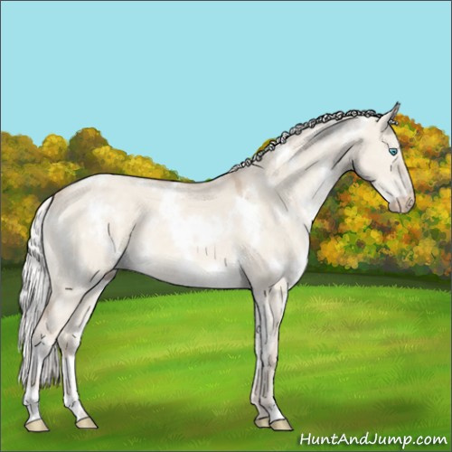 Horse Color:White Spotted Silver Perlino Dun Mushroom 