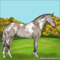 Horse Color:White Spotted Silver Brown Dun Mushroom 