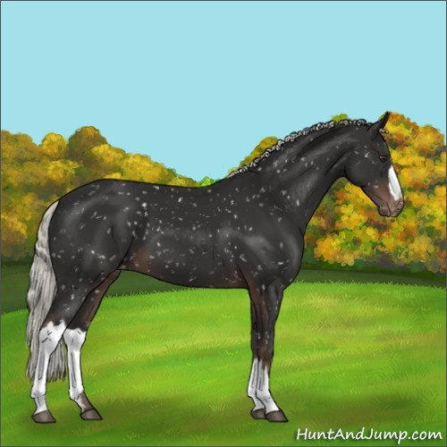 Horse Color:Liver Chestnut Mushroom Snowflake Varnish