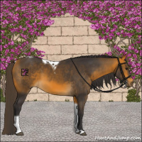 Horse Color:Buckskin Tobiano