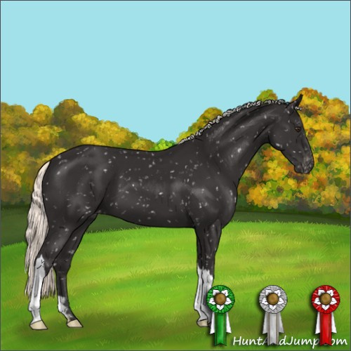 Horse Color:Liver Chestnut Mushroom Snowflake Varnish
