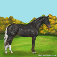 Horse Color:Liver Chestnut Mushroom Snowflake Varnish 