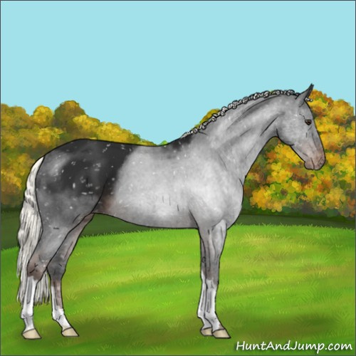 Horse Color:Liver Chestnut Mushroom Snowflake Varnish