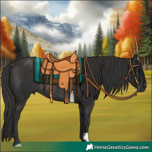 Horse Color:Liver Chestnut Rabicano 