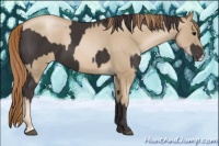 Horse Color:Smoky Black and Smoky Black Pearl