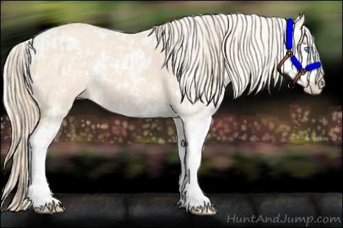 Horse Color:Perlino Sabino and Perlino Sabino