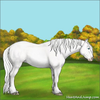 Horse Color:Cremello Dun 
