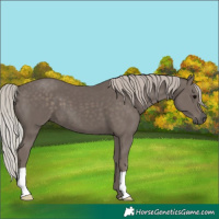 Horse Color:Silver Black 