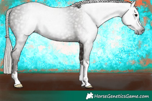 Horse Color:Gray Silver Black 