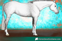 Horse Color:Gray Silver Black 