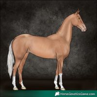 Horse Color:Silver Sable Champagne