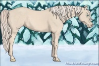 Horse Color:Cremello 