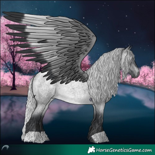 Horse Color:Silver Brown Chinchilla Roan