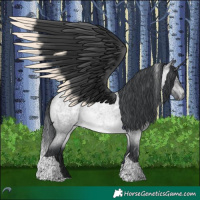 Horse Color:Brown Chinchilla Roan Tobiano 