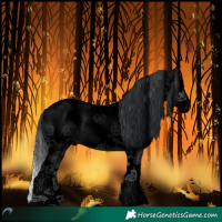 Horse Color:Void White Spotted Midnight Brown Chinchilla Roan Onyx Splash 