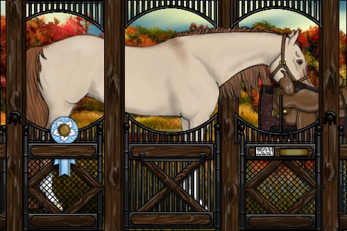 Horse Color:Red Dun Roan 