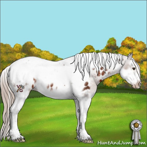 Horse Color:Liver Chestnut Splash Tobiano Frame Appaloosa 