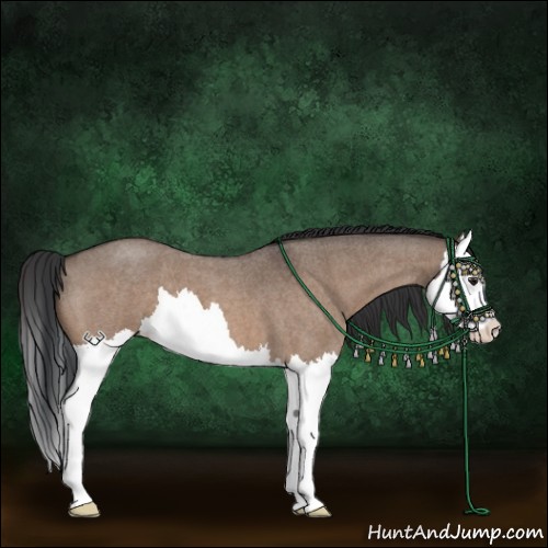 Horse Color:Brown Roan Dun Splash 