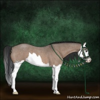 Horse Color:Brown Roan Dun Splash 
