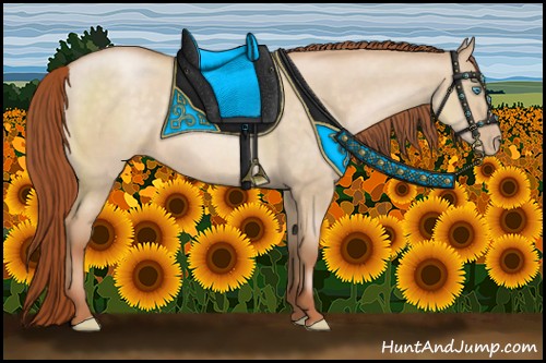 Horse Color:Buckskin Pearl Dun 