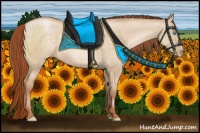 Horse Color:Buckskin Pearl Dun 