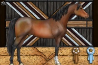 Horse Color:Brown 
