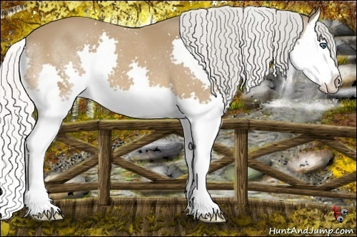 Horse Color:Silver Bay Splash 