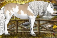 Horse Color:Silver Bay Splash 