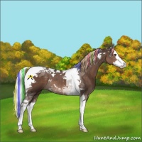 Horse Color:Painted Liver Chestnut Mushroom Splash Tobiano 