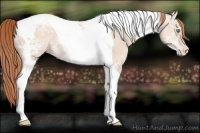 Horse Color:Gold Champagne Ice Dun Tobiano Blanket Rabicano