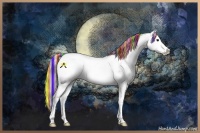 Horse Color:Painted Silver Brown Onyx Sabino Splash 