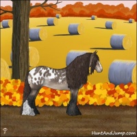 Horse Color:Brown Dun Mushroom Blanket Rabicano 