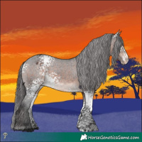 Horse Color:White Spotted Brown Mushroom Varnish 