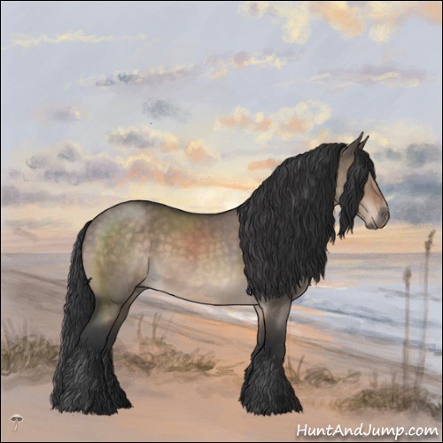 Horse Color:Brown Roan Dun Mushroom Rabicano 