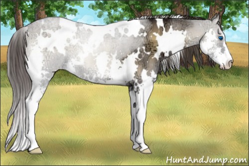 Horse Color:White Spotted Smoky Blue Onyx Ice Sabino Splash 