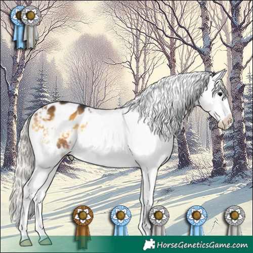 Horse Color:Silver Buckskin Onyx Sabino Blanket