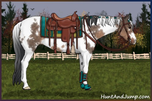 Horse Color:White Spotted Brown Dun Tobiano 