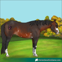 Horse Color:Brown 